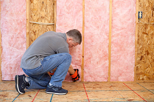 Best Spray Foam Insulation  in Trowbridge Park, MI