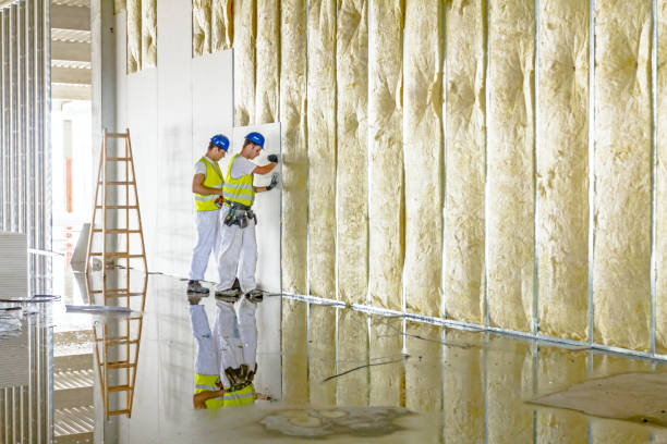 Best Radiant Barrier Insulation  in Trowbridge Park, MI